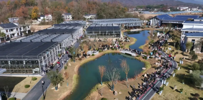 大别深山育“仙草”  兰香漫染振兴路——罗田以兰花产业为媒激活绿色发展新动能