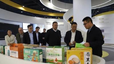 大别山区域农业科技创新联盟成立 三省五地联手谱写区域发展新篇章