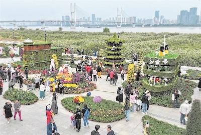 展出千余种菊花 17个展区分布三镇 第42届武汉金秋菊展今日开幕