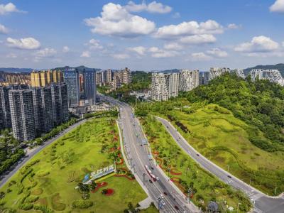 锚定协调发展——以布局优化激活区域经济新动能