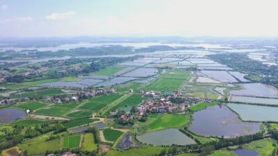 绿色发展的黄冈答卷｜蕲春：一泓碧水润民生 生态治理见实效