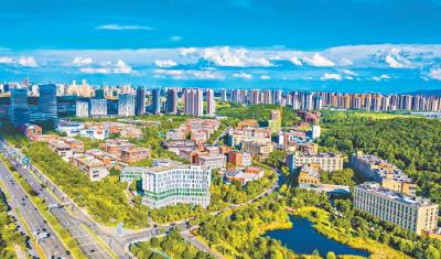 光谷企业遭遇海外侵权 跨境取证犯难 一纸公证保住亿元收益