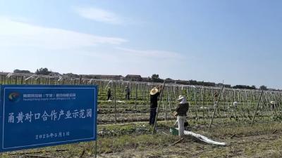 青春不能缺了劳动课——高校劳动教育爆款课程炼成记