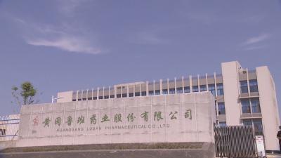 政企携手 共护蓝天.切实履行企业主体责任 坚决打赢大气污染防治攻坚战丨 黄冈鲁班药业：年减排39吨 绿色转型实现生态经济双赢