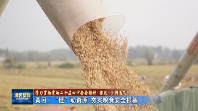 学习贯彻党的二十届四中全会精神·非凡“十四五”｜ 黄冈：“链”动资源 夯实粮食安全根基