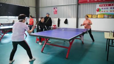 赛事火热聚乡情 体育赋能兴乡村——英山雷家店镇“百镇千村”运动会圆满举办 