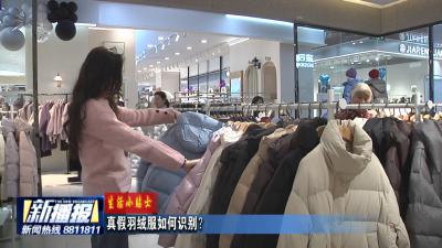 生活小贴士｜真假羽绒服如何识别？