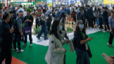 数读中国 溢出效应持续放大！数看第八届进博会成绩单