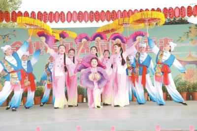 希尔寨生态庄园举行第五届菊花展暨百姓文化大舞台落成文艺汇演