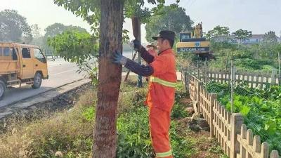 黄州公路部门守护群众“平安视界”