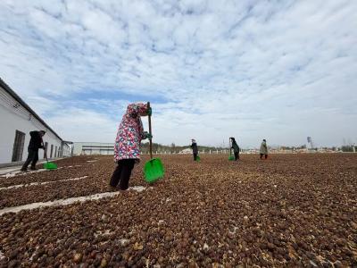 扶持龙头企业 激发内生动力——麻城助推粮油产业提质增效