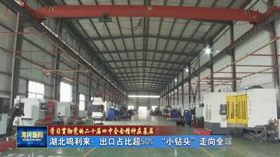 学习贯彻党的二十届四中全会精神在基层｜ 湖北鸣利来：出口占比超 50% “小钻头”走向全球大市场