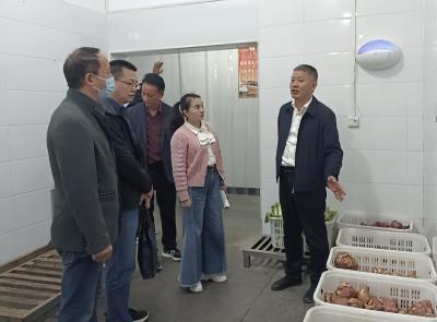 “小食堂”吃出“暖心味”！蕲春县全链条监管守护校园餐安全  