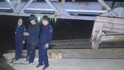 团风县放归国家二级保护野生动物中华草龟