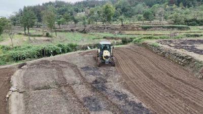 在希望的田野上｜罗田：秋播正当时 油菜种植忙