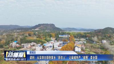 黄冈人黄冈事｜梁利：从深圳白领到家乡“新农人” 让麻城特产“破圈”卖全国