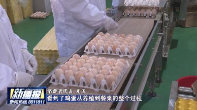 浠水鸡蛋“品质密码”揭秘！全链条消费体察树立安全消费信心