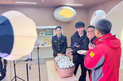 探秘浠水鸡蛋品质密码丨 全产业链升级助力黄冈放心消费