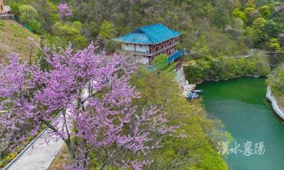 外交部发言人推介！尧治河村壮丽蝶变：从“靠山吃山”到“养山富山”的“两山”实践标杆