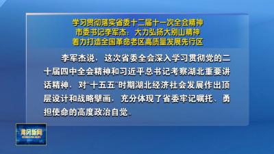 学习贯彻落实省委十二届十一次全会精神｜市委书记李军杰：大力弘扬大别山精神 着力打造全国革命老区高质量发展先行区