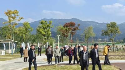 武穴市梅川镇开展“走访老支书谈发展”活动