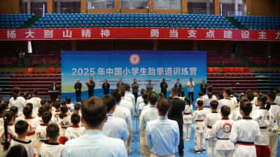 拳脚生风少年志！2025中国小学生跆拳道训练营在黄冈燃情开营 