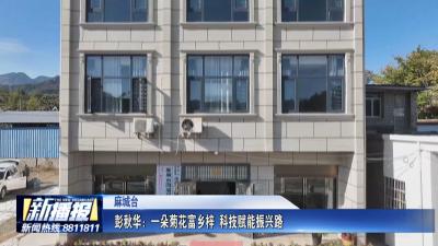 黄冈人黄冈事｜ 彭秋华：一朵菊花富乡梓 科技赋能振兴路