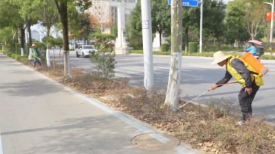 我市各地开展秋冬园林养护 保障树木安全越冬