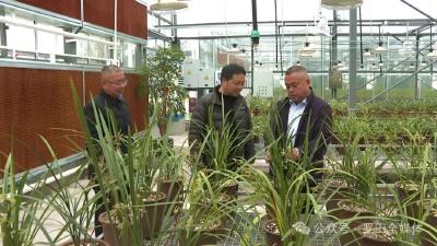 小而美、个性化、疗愈型产品越来越受欢迎  花卉园艺产业价值链不断延伸