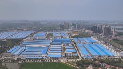 学习贯彻党的二十届四中全会精神 聚力建支点｜聚力深加工和大流通 团风打造农产品加工百亿产业集群