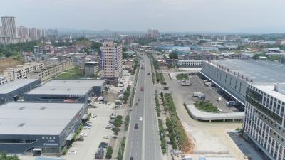 聚焦干部素质提升年｜蕲春：用“政策温度”助推企业跑出“发展速度”