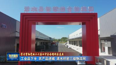 学习贯彻党的二十届四中全会精神在基层｜ 工业品下乡 农产品进城 浠水织密三级物流网