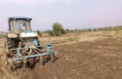 土地流转促增收 人机合力忙秋播  花桥镇喻格村完成1700亩油菜秋播