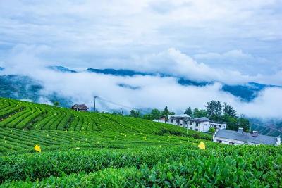 我省认证 最大富硒地块诞生——硒含量是认定标准近三倍