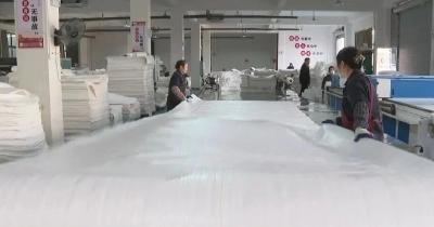 以“链”编织“致富袋”——大别山吨袋产业跨越发展激发乡村振兴新动能