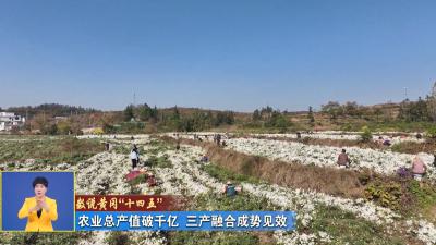 数说黄冈“十四五” 农业总产值破千亿 三产融合成势见效