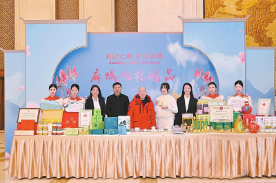 党建红+监管蓝+服务金 绘就监管为民新图景 ——麻城市市场监管局构建五大体系助推县域高质量发展