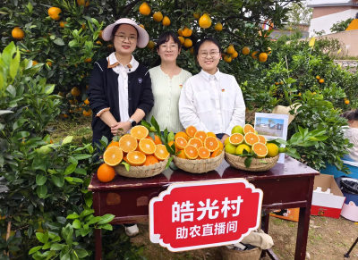 从“提篮叫卖”到“云端吆喝”  宜都“电商快车道”让山货跑得飞快！