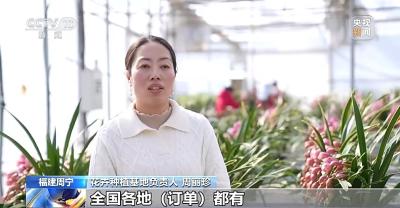 新年仪式感提前上线！特色花卉走俏国内外市场
