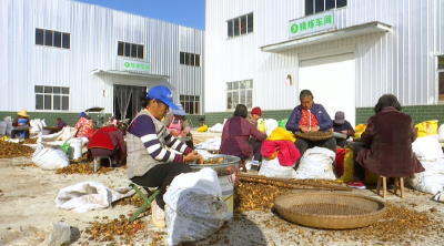 硬核助农！蕲春好物借“云”出山