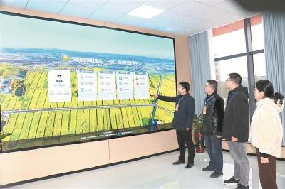 全链条监管激活乡村振兴原动力 ——我市扎实推进农村集体“三资”管理突出问题专项整治