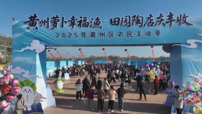 经济微观察 发展惠民生｜ 黄冈：多线发力促山乡好物俏销