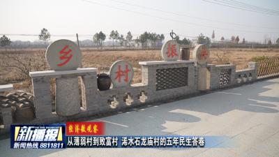 经济微观察｜从薄弱村到致富村 浠水石龙庙村的五年民生答卷