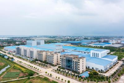 浠水专班护航“北宋医王” 项目冲刺“开门红”