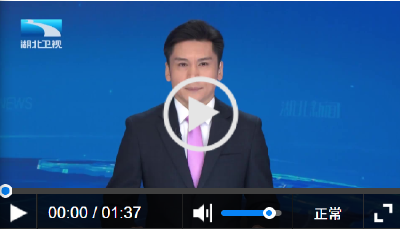 学习贯彻党的二十届四中全会精神·宣讲进行时丨将“小目标”融入大蓝图 让青春与时代同频