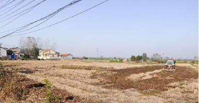 空气里少了焦糊味——回龙山镇构建秸秆运用良性循环体系