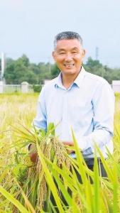 “珞红优1564”入选国家超级稻 罗田育出比肩国际“中国芯”