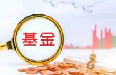 国家创业投资引导基金正式启动