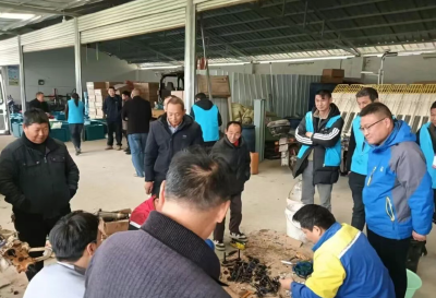 乡村振兴的“播种者” ——“新农人”王亚平扎根乡土创业侧记