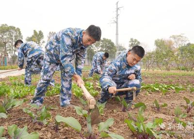 从“笔尖”到“田间”，黄冈中学把农场变成“第二课堂”